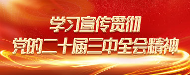 学习宣传贯彻党的二十届三中全会精神
