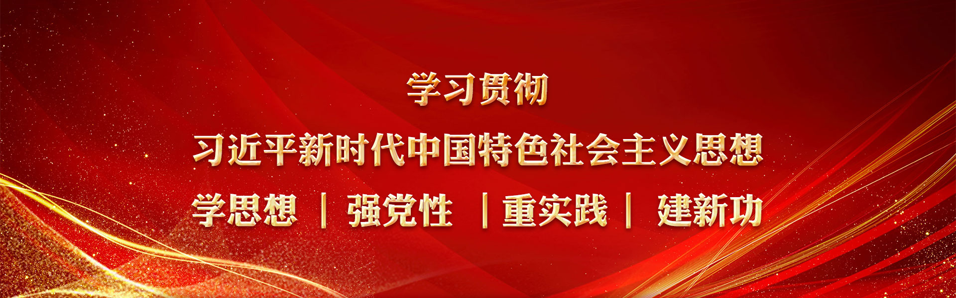 学习贯彻习近平新时代中国特色社会主义思想学思想|强党性|重实践|建新功
