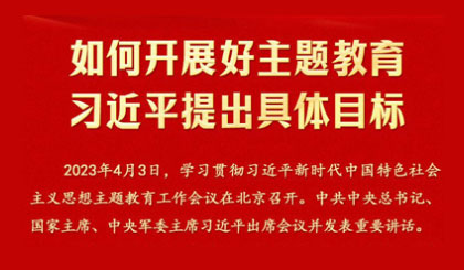 如何开展好主题教育 习近平提出具体目标
