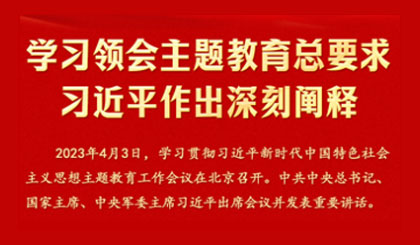 学习领会主题教育总要求习近平作出深刻阐释